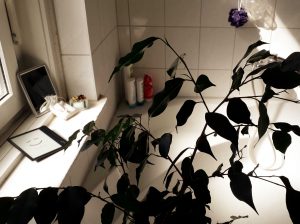 Badewanne mit Pflanze und tolino eReader